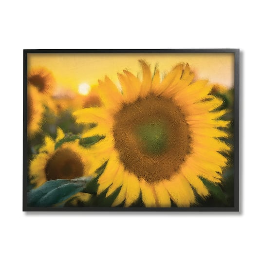 Stupell Industries Sunflower Field Sunrise Realistic Soft Edges in Frame Wall Art